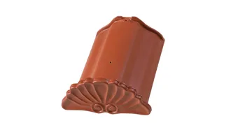 Gąsior początkowy z muszlą